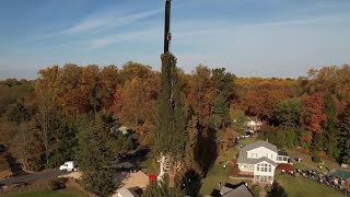 Meet the Family Whose Norway Spruce Is This Year's Rockefeller Christmas Tree