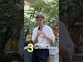 Кейсы и связки в тг vrtraffic_case