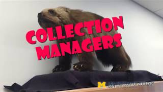 University of Michigan Museum of Zoology (UMMZ) - Collection Managers