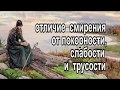 Отличие смирения и послушания от трусости, слабости и покорности