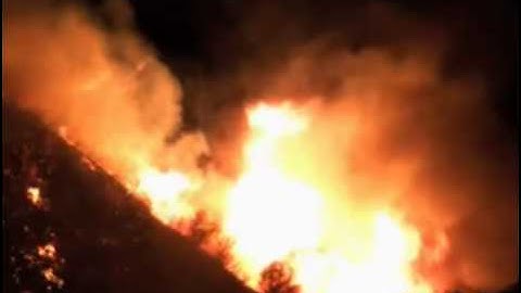 Shocking Climate Change Video - Tropicana Rainforest - Help Save The Amazon Rainforest