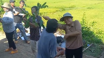 Đánh cồng chiêng của người Jrai tại nhà mã có gì vui