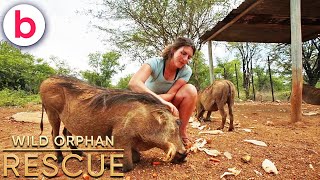Wild Orphan Rescue | Season 1 Episode 3 | FULL EPISODE