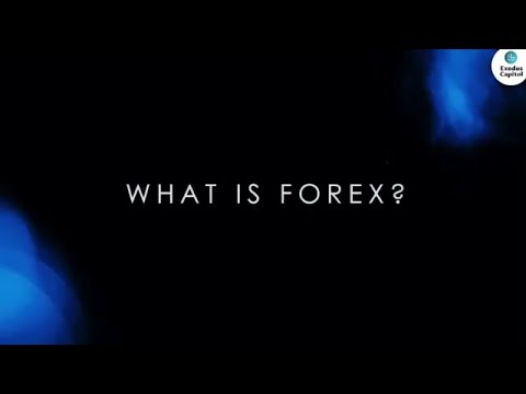 Can You Really Make Money from Investing in Forex?