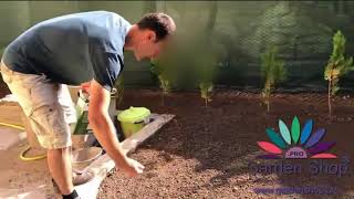 When to plant grass seed in spring Virginia