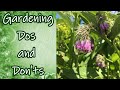 Gardening Dos and Don'ts