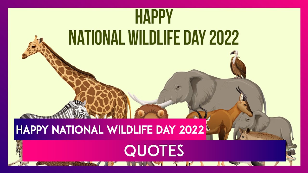 National Wildlife Day 2022 Quotes & Messages To Raise Awareness About  Conservation of Animal Species - YouTube