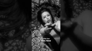 Dilek Sarı - Şarkı Türkü Resimi