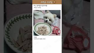 폐기 재료로 대박난 참치집