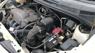 IMG 6441