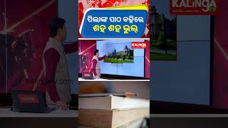 ପିଲାଙ୍କ ପାଠ ବହିରେ ଶହ ଶହ ଭୁଲ୍ || Kalinga TV