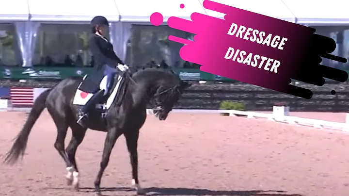 Dressage Disaster: Ashley Holzer Sets Valentine Up...