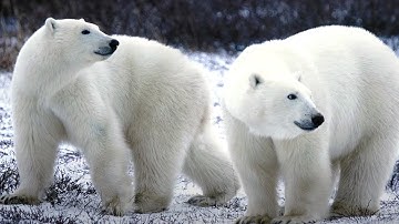 Creation vs Evolution: What