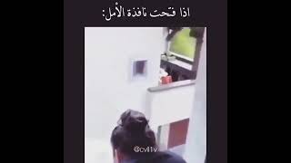 اني لمن افتح نافذة الأمل 😂😂😂