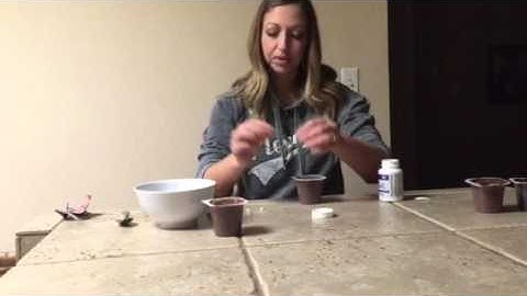 Plexus Probio5 vs Brand X Probiotic