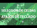 SELECCIÓN DE CELDAS - ATAJOS DE CELDAS EXCEL