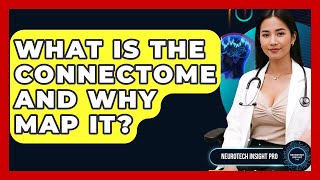 What Is The Connectome And Why Map It? - Neurotech Insight Pro