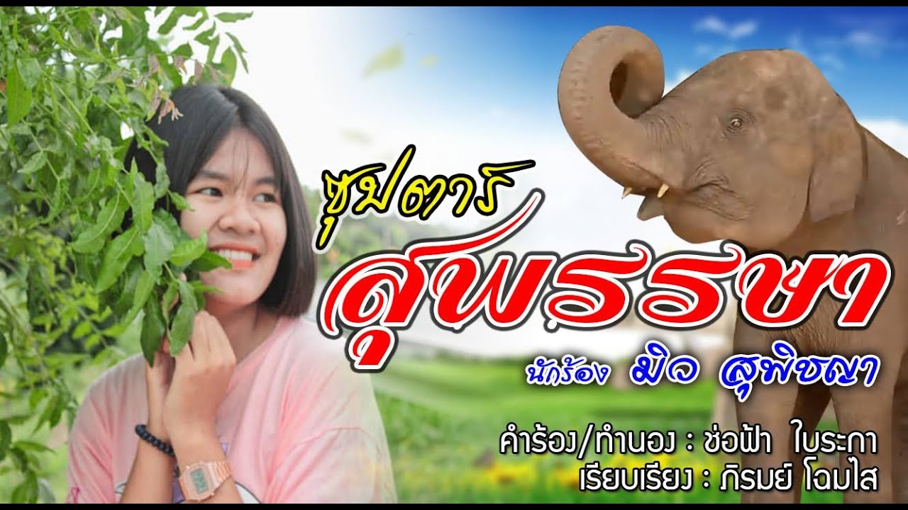 🐘♥️ซุปตาร์สุพรรษา นักร้อง:น้องมิว สุพิชญา  คำร้อง/ทำนอง: ช่อฟ้า ใบระกา เรียบเรียง ภิรมย์สตูดิโอ🐘♥️