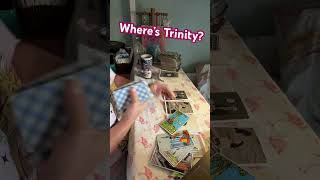 Famous Trinity #missingperson  #tarot #tarotreading Net Worth