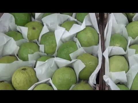 Sugestão CEQV para você - Como escolher frutas