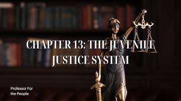 Intro to Crim Justice Chapter 13  Juvenile Justice System #juvenilejustice #professorforthepeople