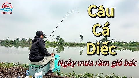 Câu cá tự nhiên. Câu cá diếc ngày mưa rầm gió bấc cùng với bạn câu | Phú Hải Fishing