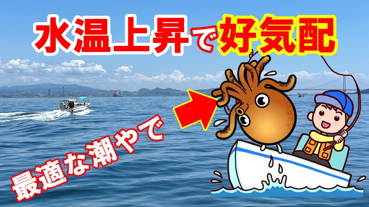 海月◇プロフ必読様　ご予約 Rising water temperatures mean the season is 'fully open'!