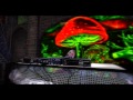 Capture de la vidéo Wider Horizons.wmv