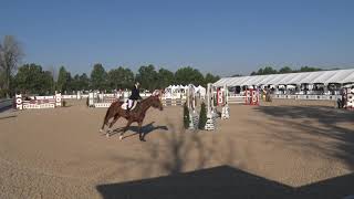 CLASS 32 - VICTORY GALLOP