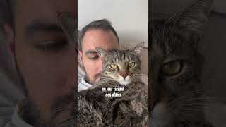 Why do cats sleep so much? 🤔