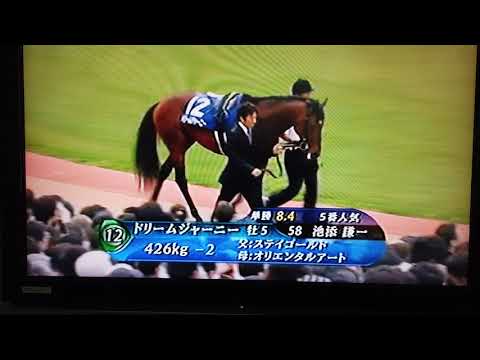 2009 5.3 天皇賞(春) パドックの様子