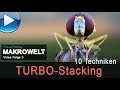 so funktioniert Turbo-Stacking (10 Methoden, Traumflieger Makrowelt Nr. 3)