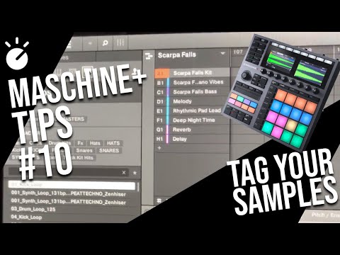 Maschine+ how to tag your own samples