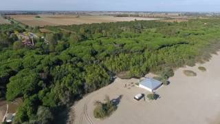 Spiagge accessibili: Bagno Egisto 38 a Viserba di Rimini