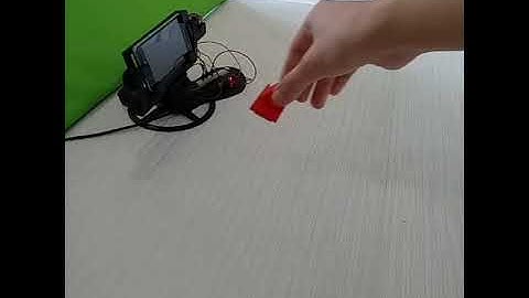 Object tracking robot