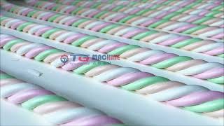 🚀 Fully Automatic Marshmallow Production Line 🚀
