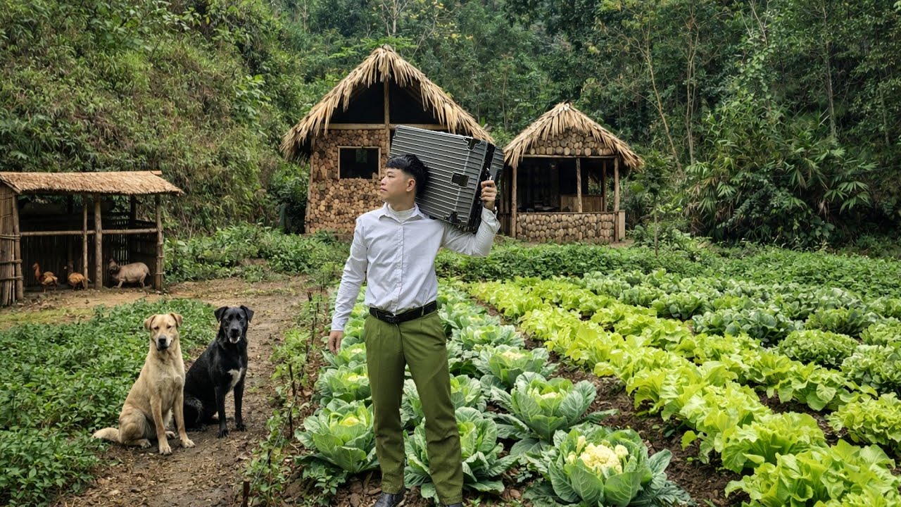 Police Officer Huong left the farm and returned to the city. What happened?