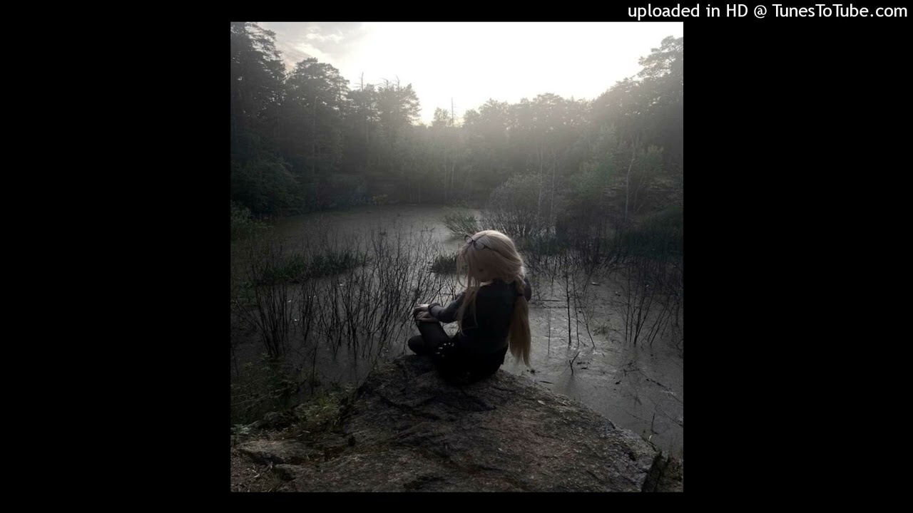 free gunnr + nettspend + 2hollis type beat wannabeastar