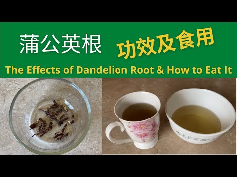 蒲公英根的功效及食用方法，踏青時節記得採摘The medical effects of Dandelion root and eating method (2022 part 4)