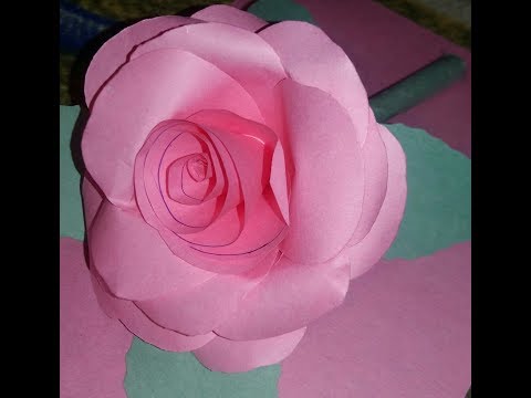 Pepar Rose Flower