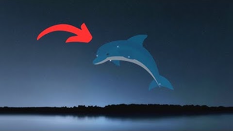 Delphinus Constellation History: Discover the Fascinating Stories.