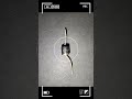 🔥Basic Electronics Explained 🔌 #Electronics #Resistor #Capacitor #Inductor #EngineeringShorts