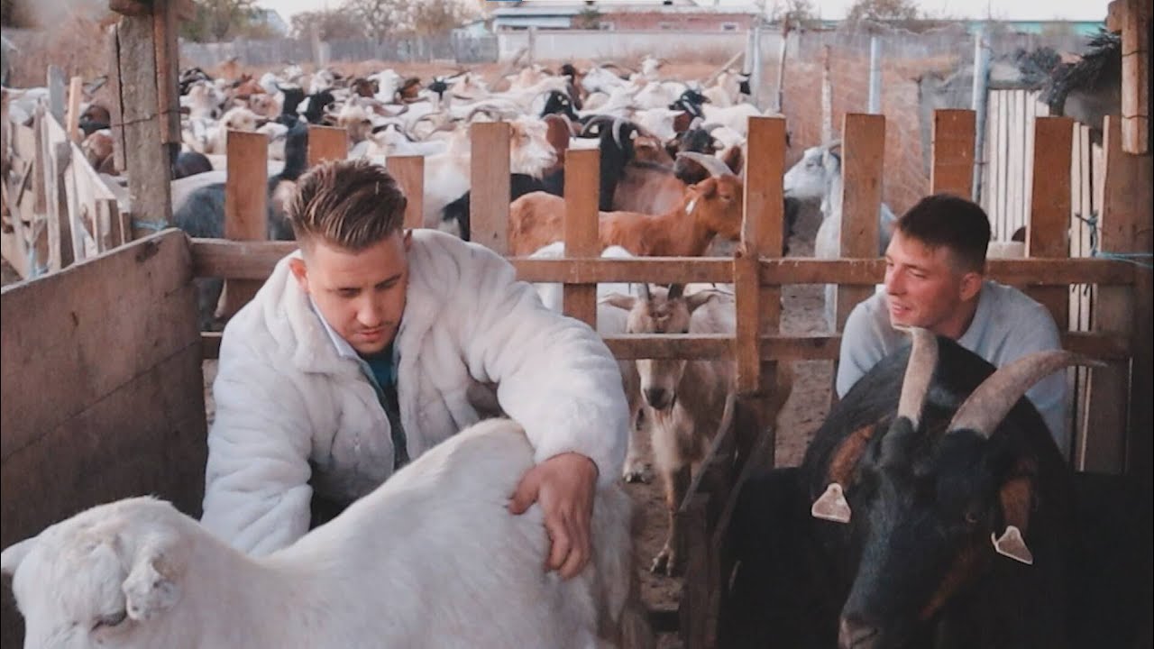 CONACU si NADIN muncesc IMPREUNA👷😂