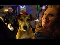 Impressionen von der weihnachtstour 2021 mit mika caravan und frank d camping  campertobi