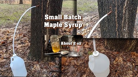 How to make a small batch of maple syrup in under 60 minutes