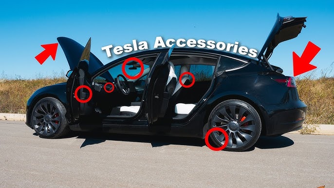 2023 Tesla Model Y Night Lights Interior Exterior 