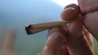 Law Enforcement Unveil New Tool To Detect Cannabis-Impaired Driving