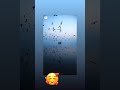 #short #status #sadstatus #viralvideo 🥰