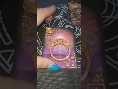 Video: Ką reiškia Kardų princesės taro korta?