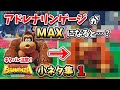 【Switch2】ドンキーコング バナンザ 小ネタ集①【ネタバレ注意】